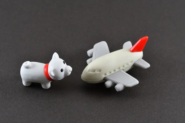 ペットと一緒に飛行機には乗れるの?搭乗までの進め方や注意点